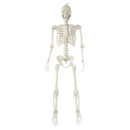 Hanging Posable Skeleton Decoration, White, 5', Halloween by Way To Celebrate