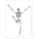 Hanging Posable Skeleton Decoration, White, 5', Halloween by Way To Celebrate