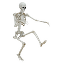 Hanging Posable Skeleton Decoration, White, 5', Halloween by Way To Celebrate